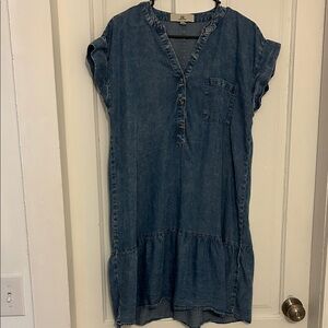 Thread & Supply Indigo Mini Dress